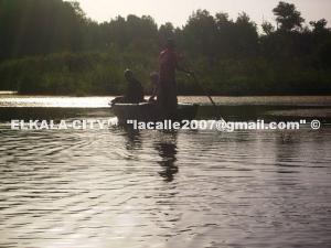 Lac Tonga (El Taref)