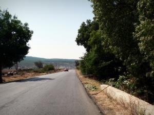 Périphérie de la Forêt d'El Taref