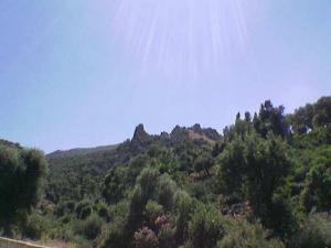 Espace vert du Hammam Sidi Trad (Wilaya d'El Taref)