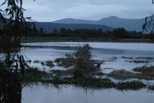 Lac Tonga (El Taref)