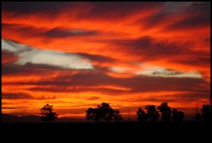 Coucher de Soleil sur la Forêt d'El Taref