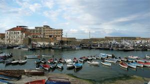 Port de Pêche à El Taref