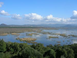 Le Lac Tonga (Wilaya d'El Taref)