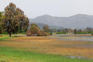 Lac Tonga (El Kala/ Wilaya d'El Taref)