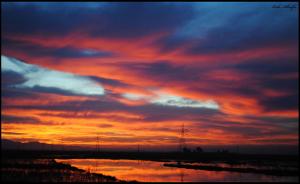Fleuve de la Rivière d'El Taref