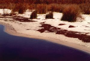 Le Lac Mellah (El Taref)