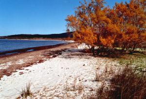 Le Lac Mellah (El Taref)