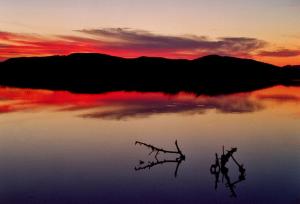 Coucher de Soleil sur le Lac Mellah (El Taref)