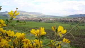 Bouhadjar, Wilaya EL-TAREF