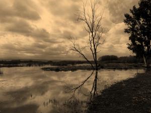 Lac Tonga ( wilaya El Tarf )