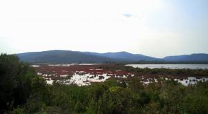 Lac El Mellah (El Taref)