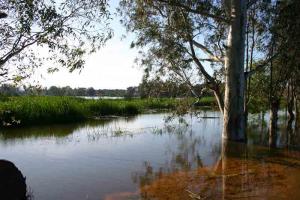 Lac Tonga (El Kala/ Wilaya d'El Taref)