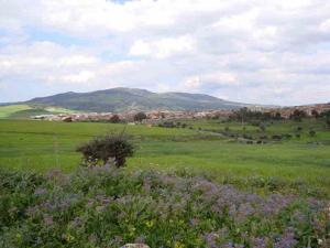 Bouhadjar (El Taref)