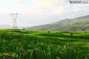 Les Prairies de Bouhadjar (El Taref)