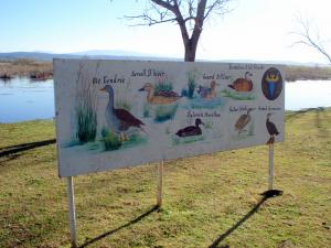 Panneau d'oiseaux vivants à El Taref