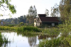 l'Office du Lac Tonga (El Taref)