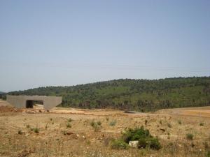 AUTOROUTE PARC NATIONAL KALA (El Taref)