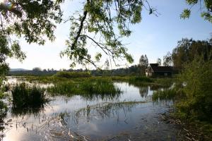 Lac Tonga (El Kala/ Wilaya d'El Taref)