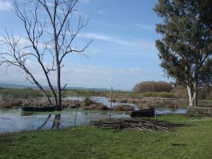 Lac Tonga, El-Kala (El Taref)