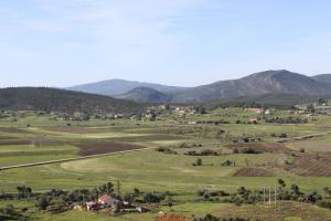 Champs agricoles à El Taref
