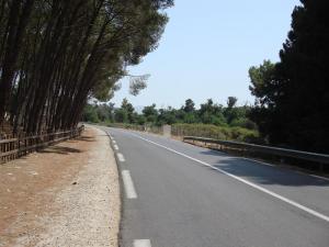 Autoroute sur la périphérie d'El Taref