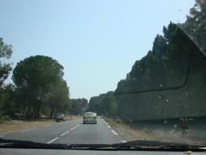 Paysage d'El Kala (El Taref)