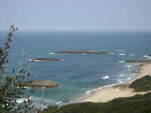 Les Iles Bébé d'El Kala (El Taref)