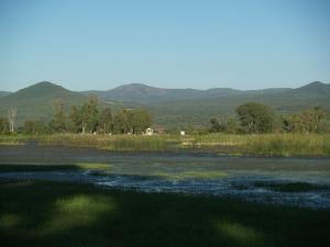 LAQUE TONGA  EL KALA (El Taref)