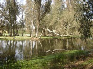 lac TONGA El-Kala (El Taref)