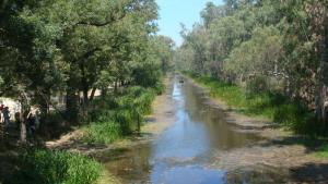 Lac Tonga (El-Kala) balade sur une barque
