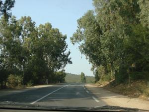 Route vers El-Kala (Wilaya d'El Taref)