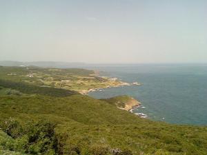 M'ZERAA (El Kala / Wilaya d'El Taref)