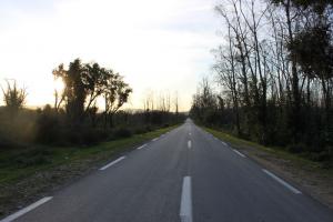 Autoroute dans la périphérie d'El Taref