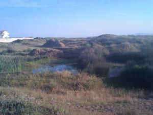 Paysage d'El Kala (El Taref)