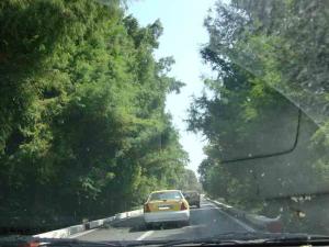 La Forêt d'El-Kala, vers Oum Tboul (El Taref)