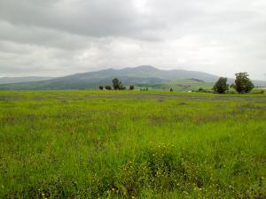 Bouhadjar vers Beni Salah (El Taref)