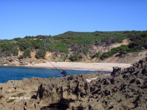 Plage de Laouinate de Boutribicha (El Taref)