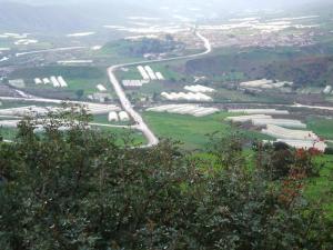 Ville de ZEBOUDJA ( Chlef ) '' Les Cultures Sous-serre ''