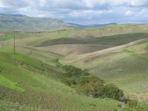 Paysage près de Médéa