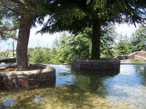 Mascouni Ben chicao (Wilaya de Médéa)