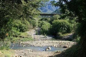 Paysage de Tamesguida à Médéa
