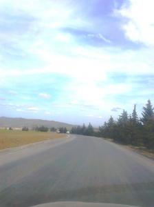 Commune d'El Omaria à Médéa