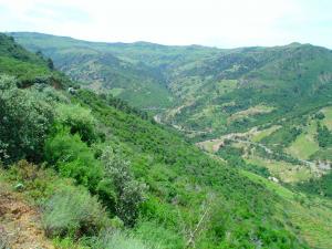 Medea - Oued Lahrech