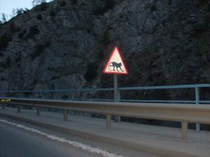 Chiffa, route de Médéa