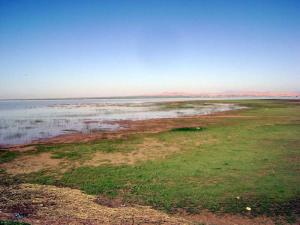 Lac de Boughzoul, Médéa