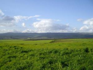 Pâturages de Médéa