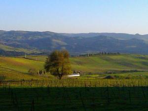 Champ Agricol près de Médéa