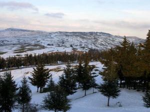 Forêt de ben Chicao à Médéa