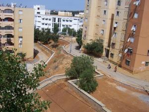 Un quartier du centre ville de Médéa