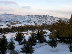 Forêt de ben Chicao à Médéa
